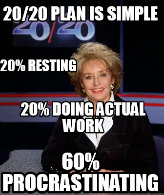 20/20 plan is simple 20% doing actual work 20% resting 60% procrastinating