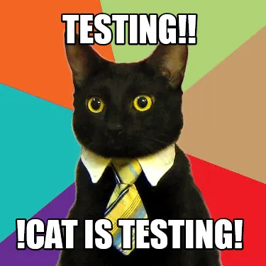 Funny TESTING!! !Cat is testing!