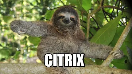 Funny citrix