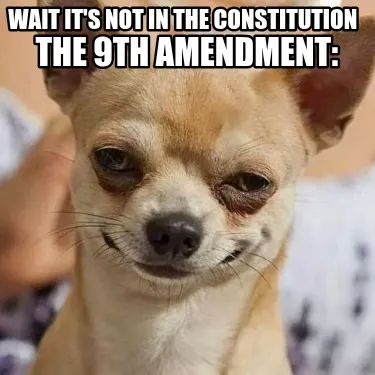 Funny WAIT IT'S NOT IN THE CONSTITUTION THE 9TH AMENDMENT: