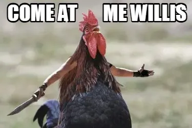 Come at me willis