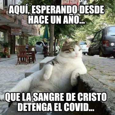 Funny AQUÍ, ESPERANDO DESDE HACE UN AÑO... QUE LA SANGRE DE CRISTO DETENGA EL COVID.