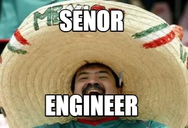 Senor Engineer