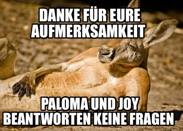 Danke für eure Aufmerksamkeit Paloma und Joy beantworten keine Fragen