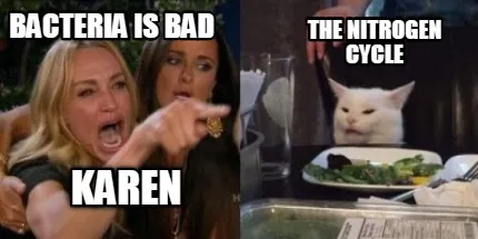 Funny Bacteria is bad The Nitrogen cycle Karen