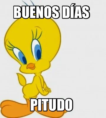 Buenos días Pitudo