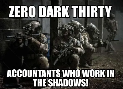 Zero Dark Thirty Accountants who work in the shadows!