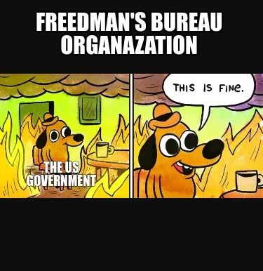 Freedman's bureau organazation the us government