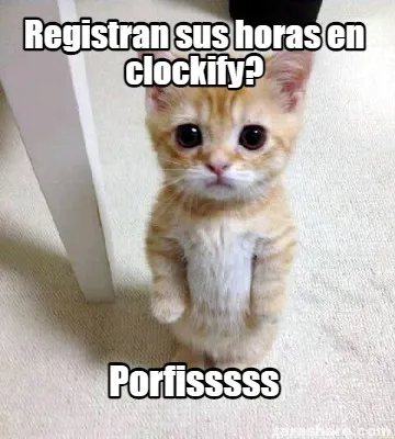 Registran sus horas en clockify? Porfisssss