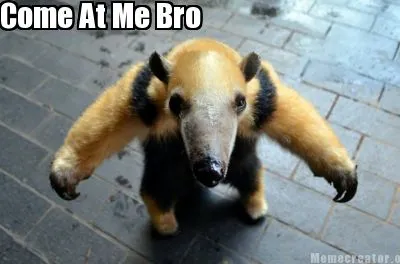 Funny Come At Me Bro