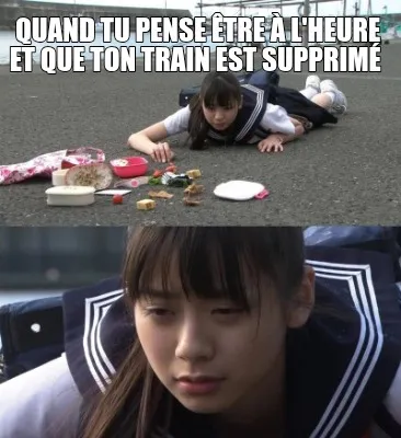 Funny Quand tu pense être à l'heure et que ton train est supprimé