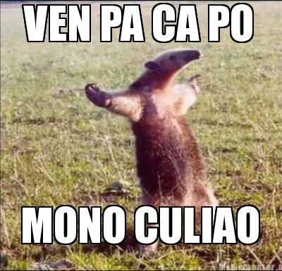 Funny VEN PA CA PO MONO CULIAO