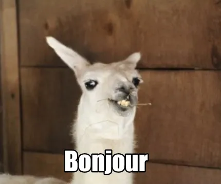 Bonjour