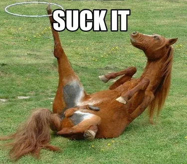 Funny Suck It