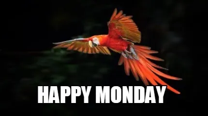 Funny Happy Monday