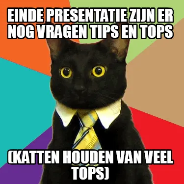 EINDE PRESENTATIE ZIJN ER NOG VRAGEN TIPS EN TOPS (KATTEN HOUDEN VAN VEEL TOPS)