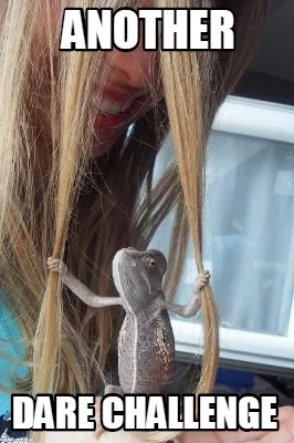 Another dare challenge