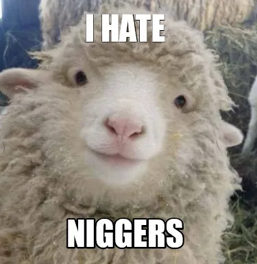 I hate niggers
