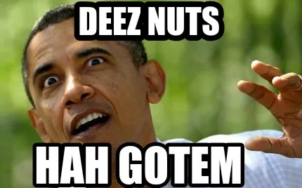 Deez nuts Hah gotem