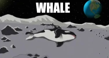 Funny Whale