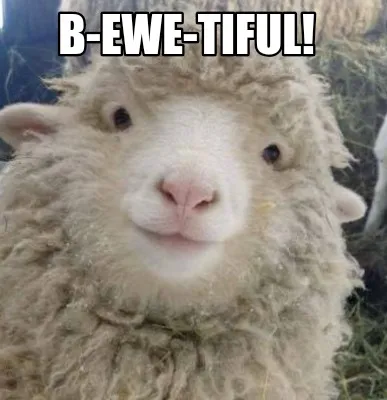Funny B-ewe-tiful!