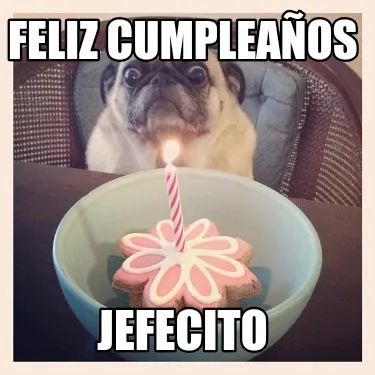 Feliz Cumpleaños Jefecito