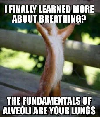 Funny I finally learned more about breathing? The fundamentals of alveoli are your lun