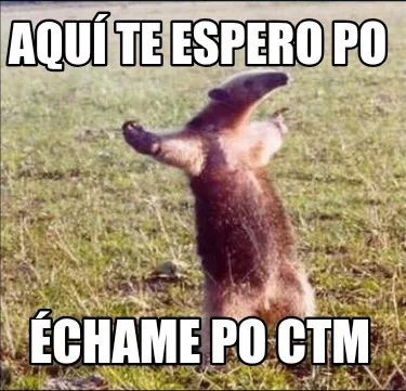 Aquí te espero po Échame po ctm