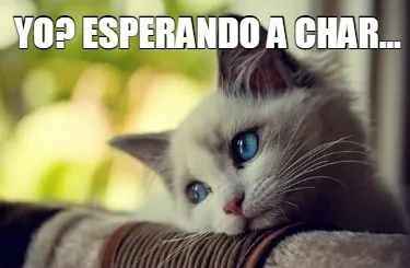 Yo Esperando A Char