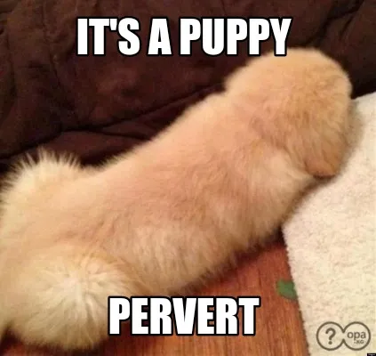 It's a puppy Pervert