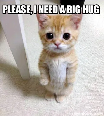 Funny Please, I need a Big Hug