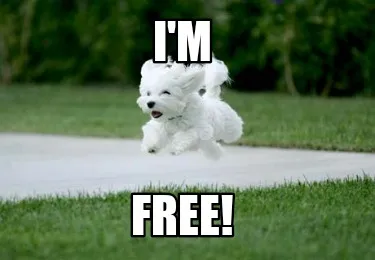 Funny I'm Free!