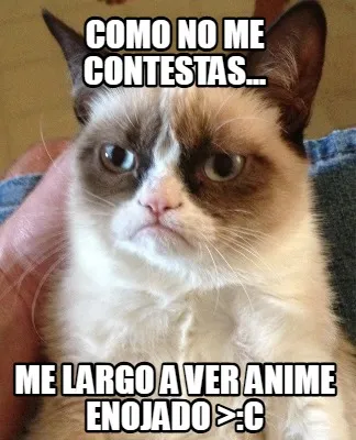 Funny Como no me contestas... Me largo a ver anime enojado >:c