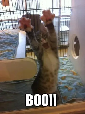 Funny BOO!!