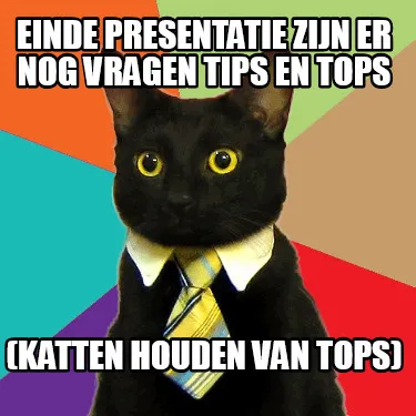 Funny EINDE PRESENTATIE ZIJN ER NOG VRAGEN TIPS EN TOPS (KATTEN HOUDEN VAN TOPS)