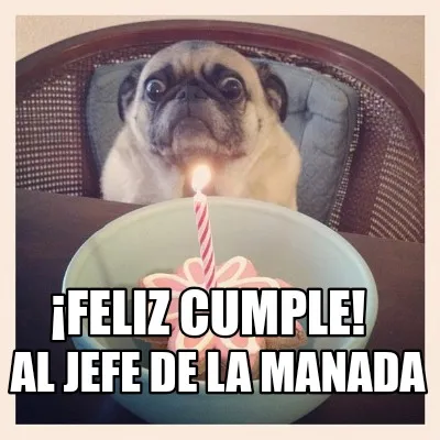 Funny ¡Feliz cumple! Al jefe de la manada