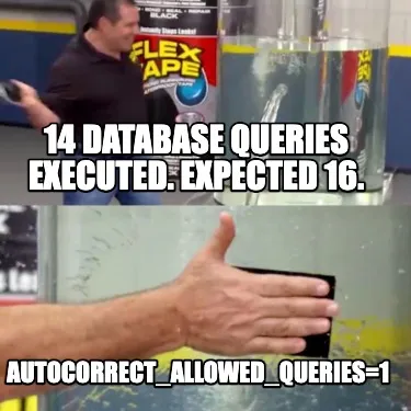 Funny 14 database queries executed. Expected 16. AUTOCORRECT_ALLOWED_QUERIES=1