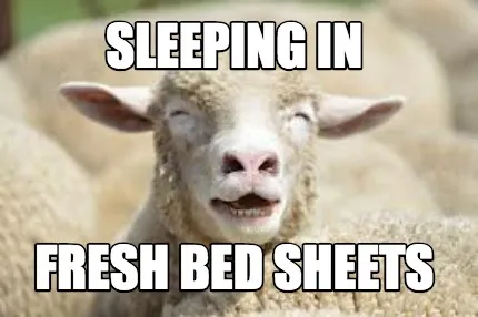 Sleeping in fresh bed sheets