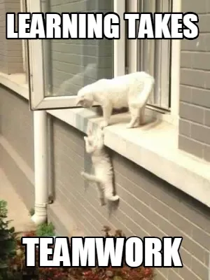 Learning Takes teamwork
