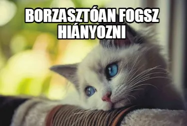 Borzasztóan fogsz hiányozni