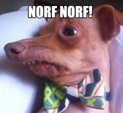 Funny Norf norf!