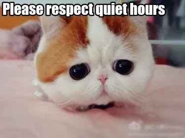 Funny Please respect quiet hours