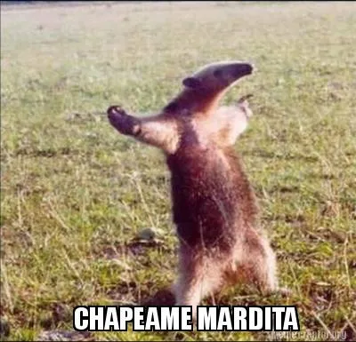 Funny CHAPEAME MARDITA