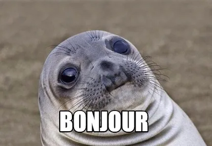 Bonjour
