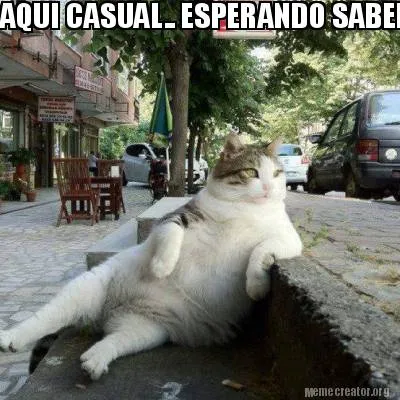 Funny AQUI CASUAL.. ESPERANDO SABER