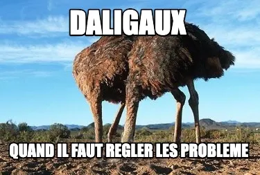 Daligaux Quand il faut regler les probleme