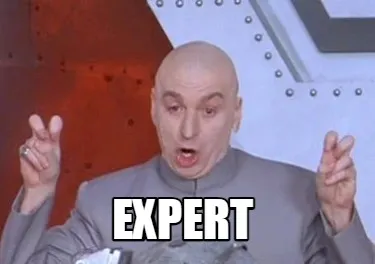 Expert