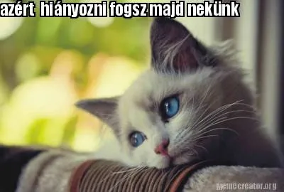 Azért hiányozni fogsz majd nekünk