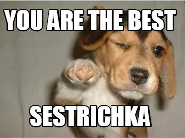 Funny you are the best sestrichka