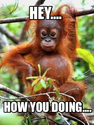 Funny Hey.... How you doing....